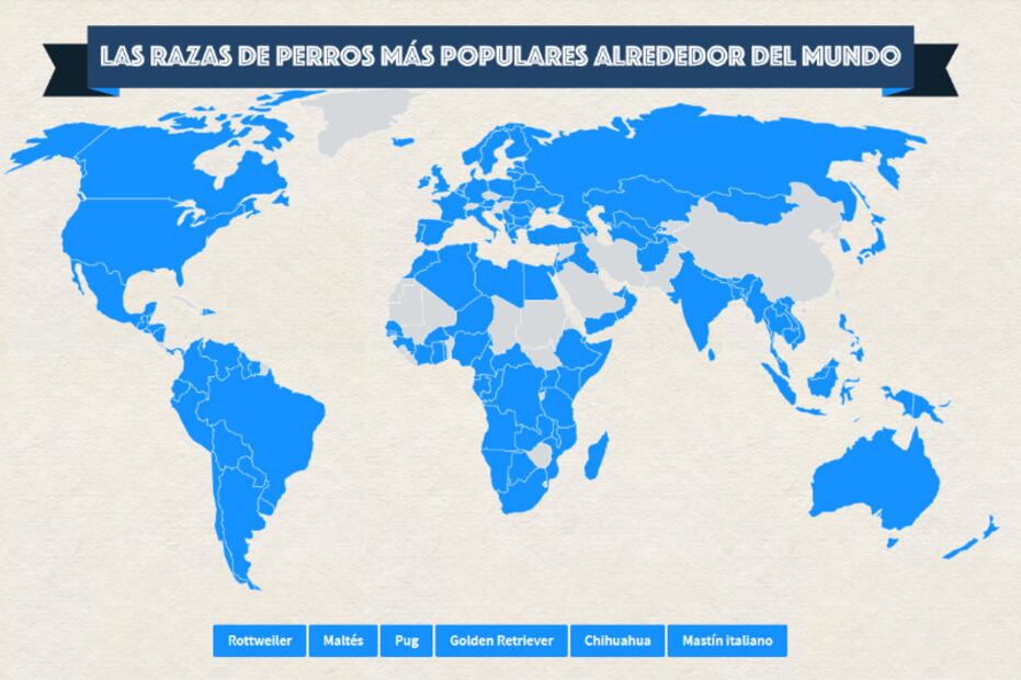 Las 10 razas de perros más populares en el mundo