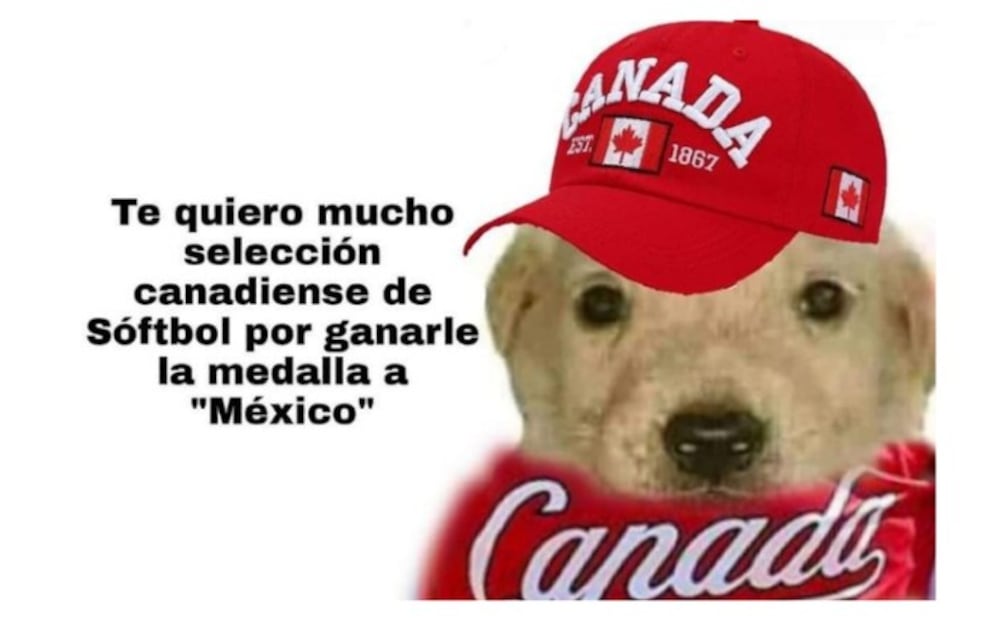 "Te quiero mucho": 10 memes del perrito que apoya a México en Tokio 2020
