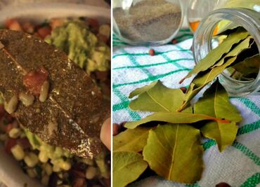 10 hierbas de la cocina mexicana que los “gringos” deben conocer