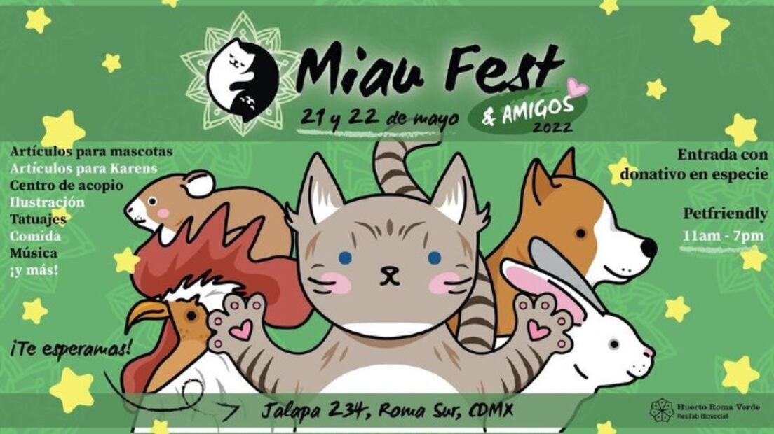 Miau Fest 2022, el festival para ayudar a gatitos en la CDMX