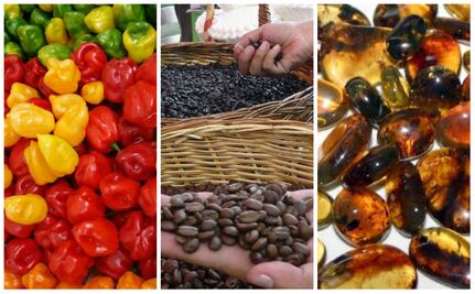 ¡100% mexicanos! 10 productos con denominación de origen