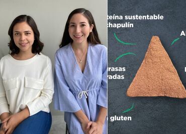 Alumnas del Tec de Monterrey crean alimento de chapulines alto en proteína