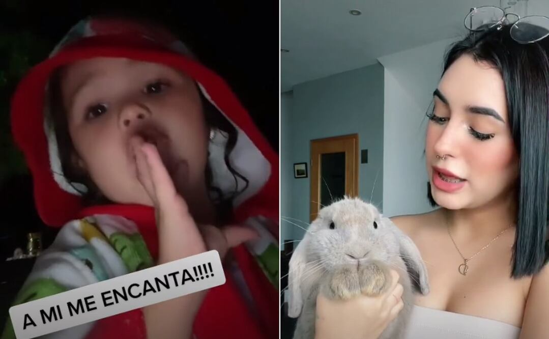 Foto: TikTok @alvaroalvarez.m/@domelipa