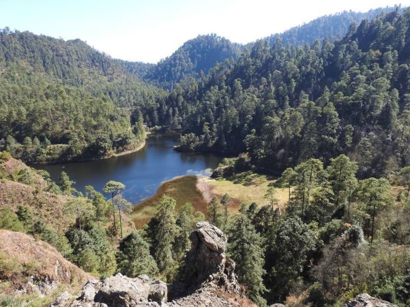 10 lugares cerca de la CDMX para armar un picnic perfecto 