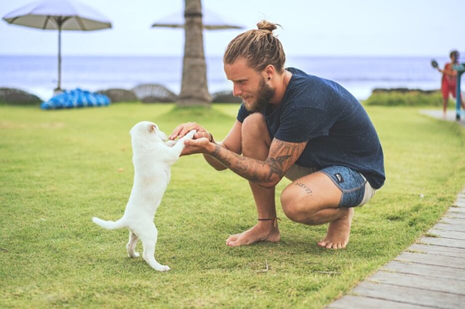10 beneficios de jugar con tu perro