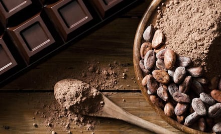 ¡Al rescate del cacao mexicano!