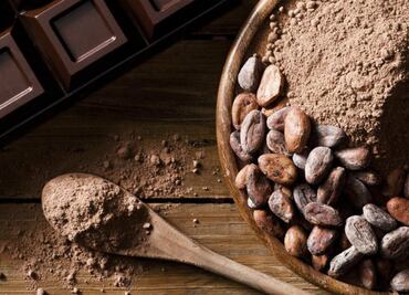 ¡Al rescate del cacao mexicano!