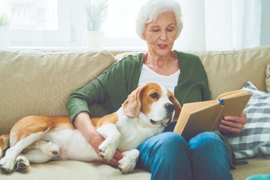 10 cosas que tu perro ama de ti