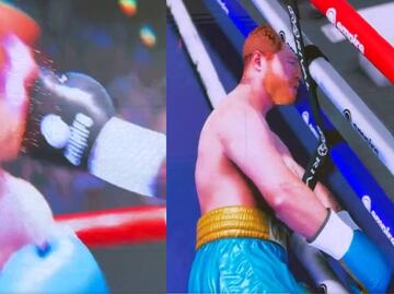 Fernando Schwartz pronostica que Canelo Álvarez será noqueado por Terence Crawford