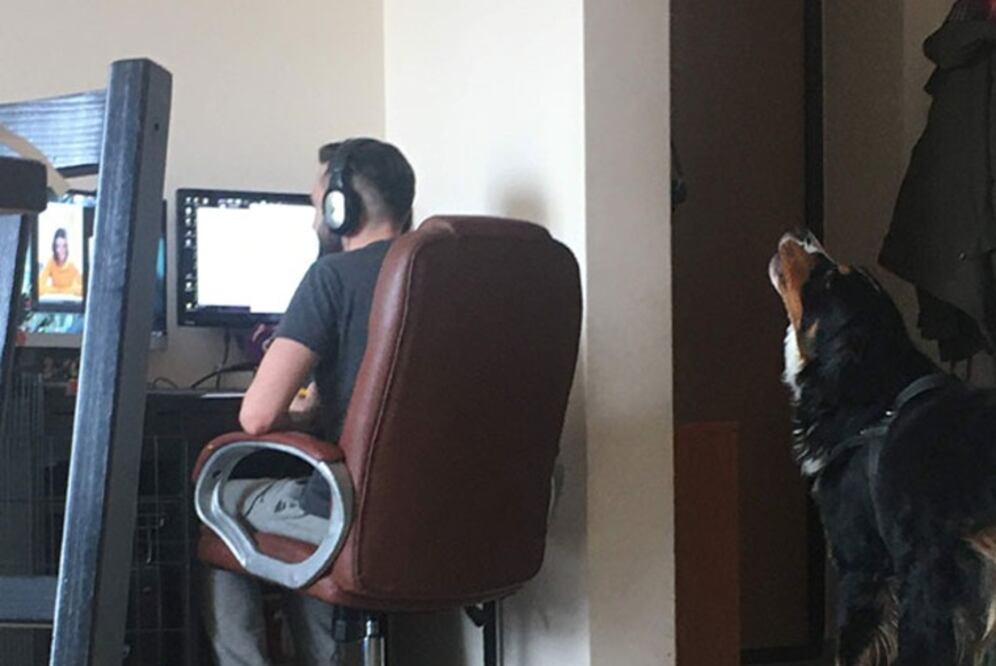 “Sube el volumen para que me escuchen tus compañeros, humano”. (Foto: Instagram @rukasthedog)