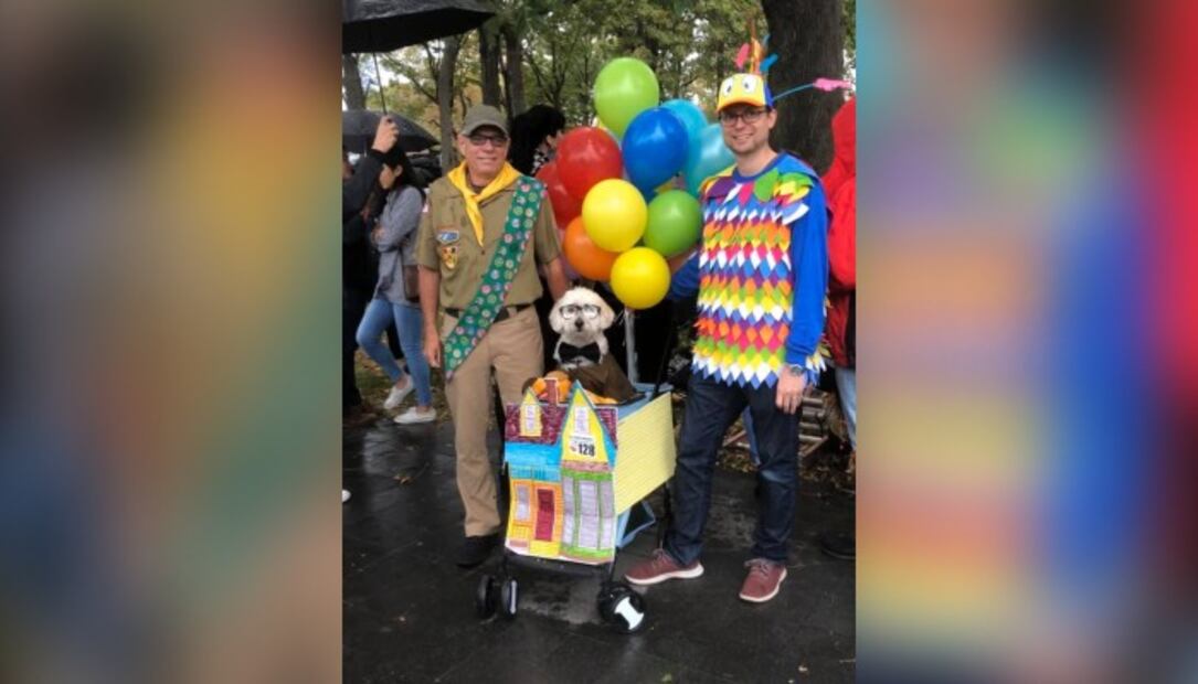 Los 10 mejores disfraces de Halloween para perros
