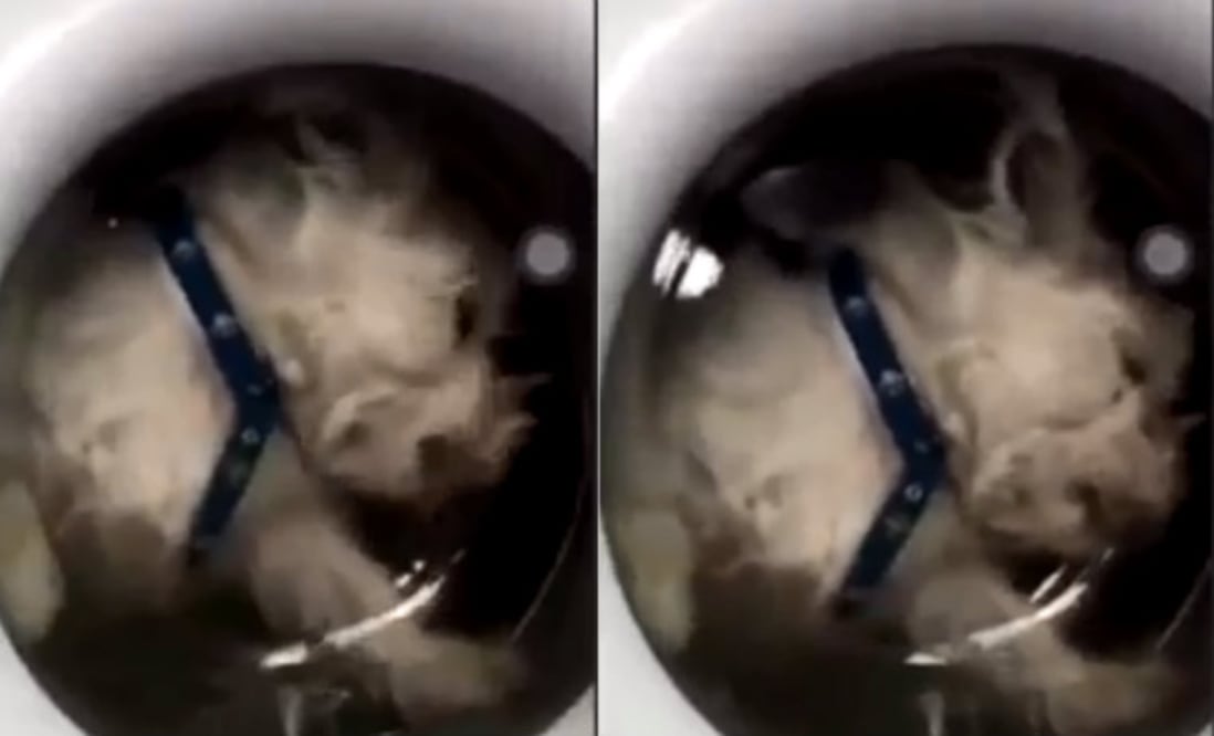 Foto: Redes sociales