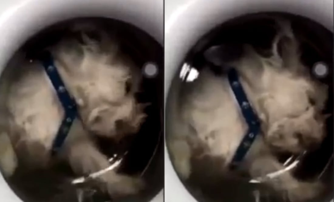 Foto: Redes sociales