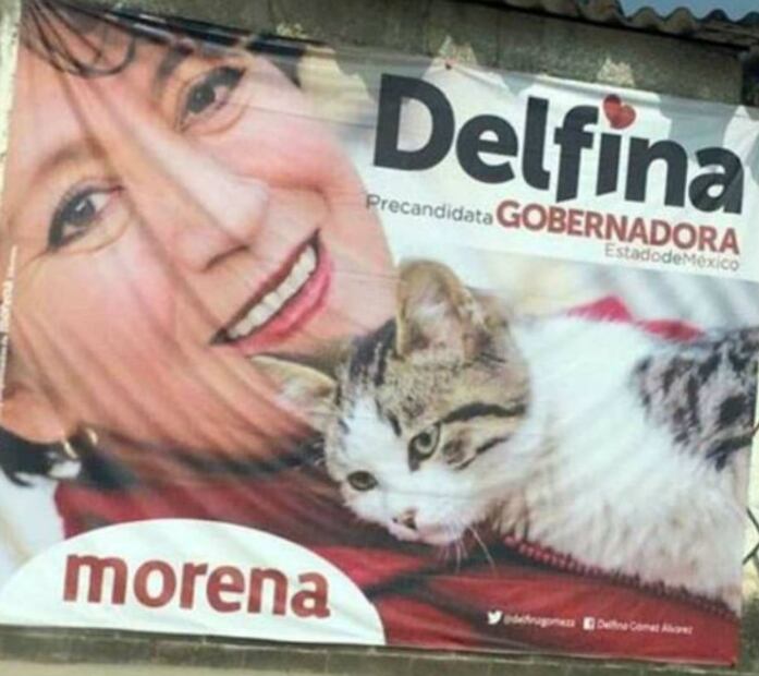 10 “osos” de los candidatos a gobernador del Estado de México 