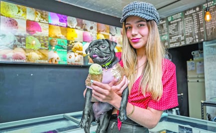 UNAM advierte que NO se debe humanizar a las mascotas