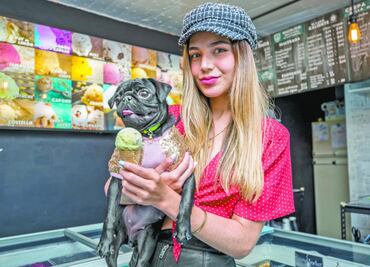 UNAM advierte que NO se debe humanizar a las mascotas