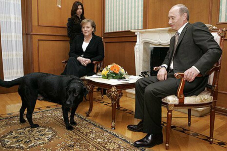 10 razones por las que Vladimir Putin es el Chuck Norris de Rusia