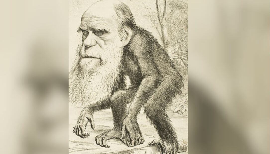 10 datos para entender quién era y qué aportó Charles Darwin