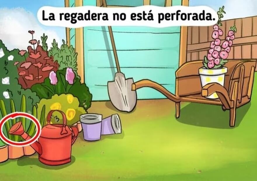 Reto visual | Fuente: X @showmundialshow