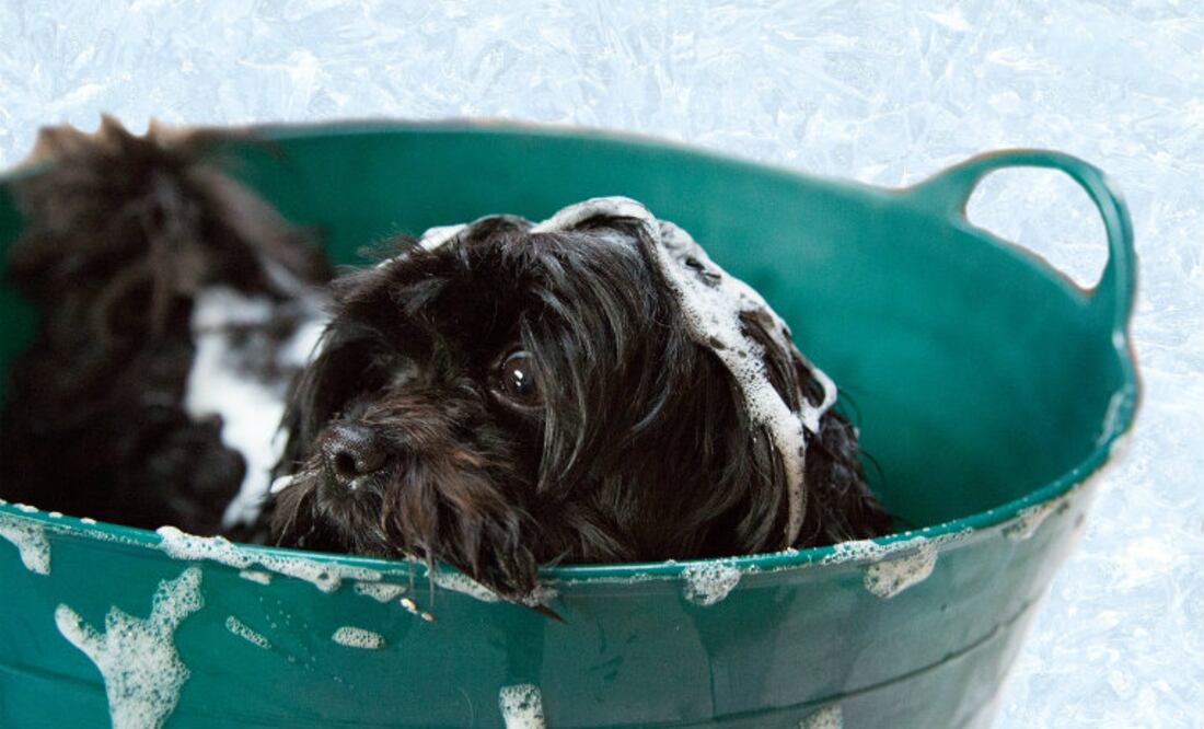 iStock