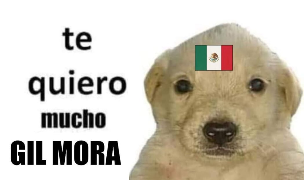 Selección Mexicana MEMES