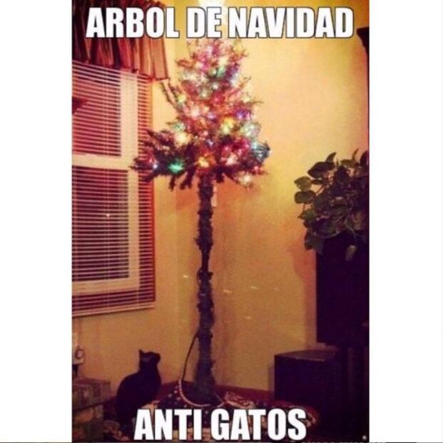 Los 10 mejores memes de Gatos Vs. Árboles de Navidad