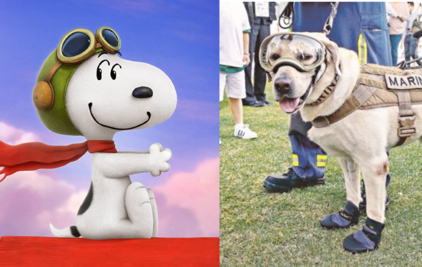 ¡Feliz Día del Perro! Los 10 perros más famosos de la historia