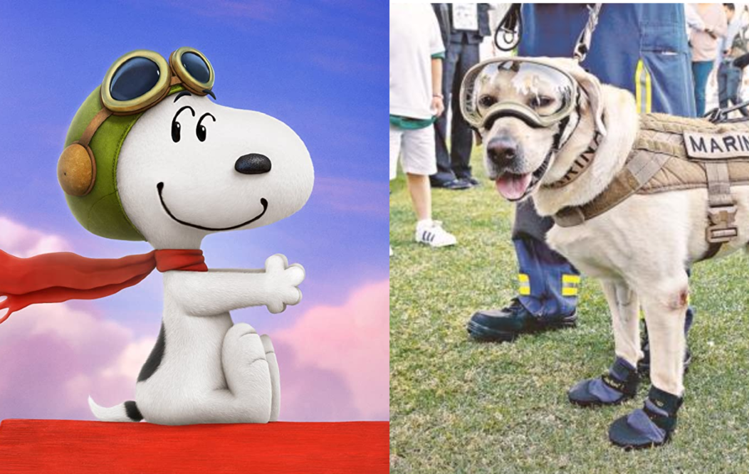 Foto: Twentieth Century Fox & Peanuts/Archivo El Universal