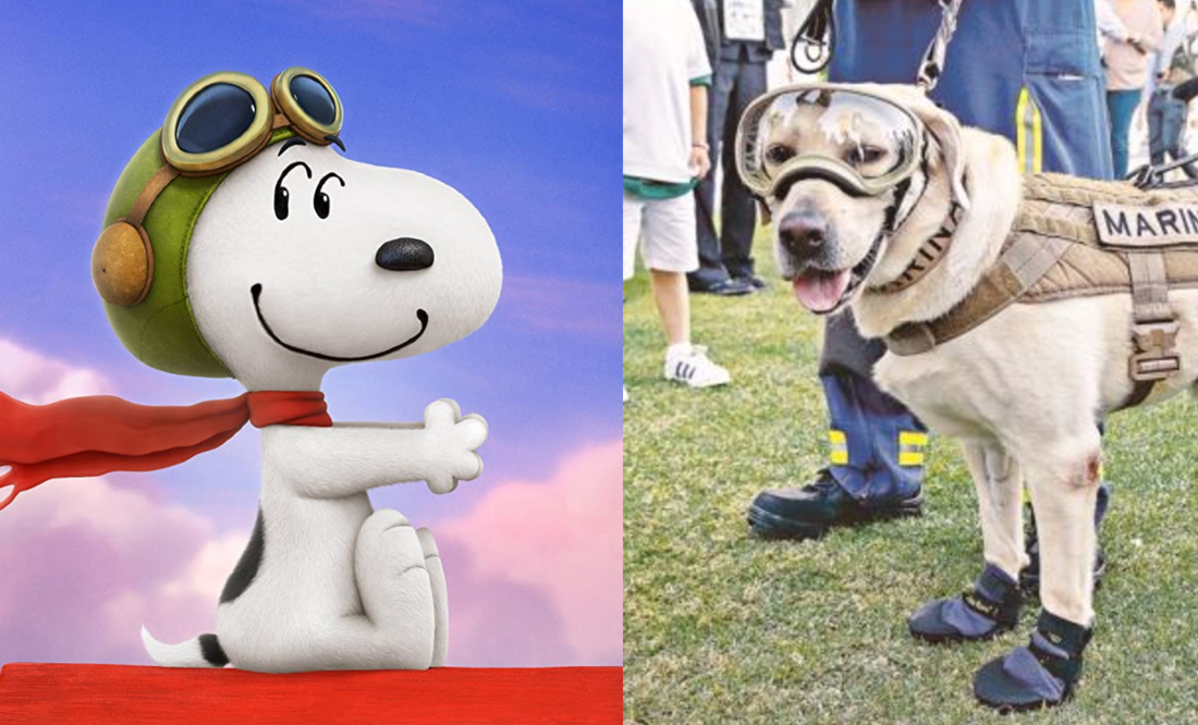 Foto: Twentieth Century Fox & Peanuts/Archivo El Universal