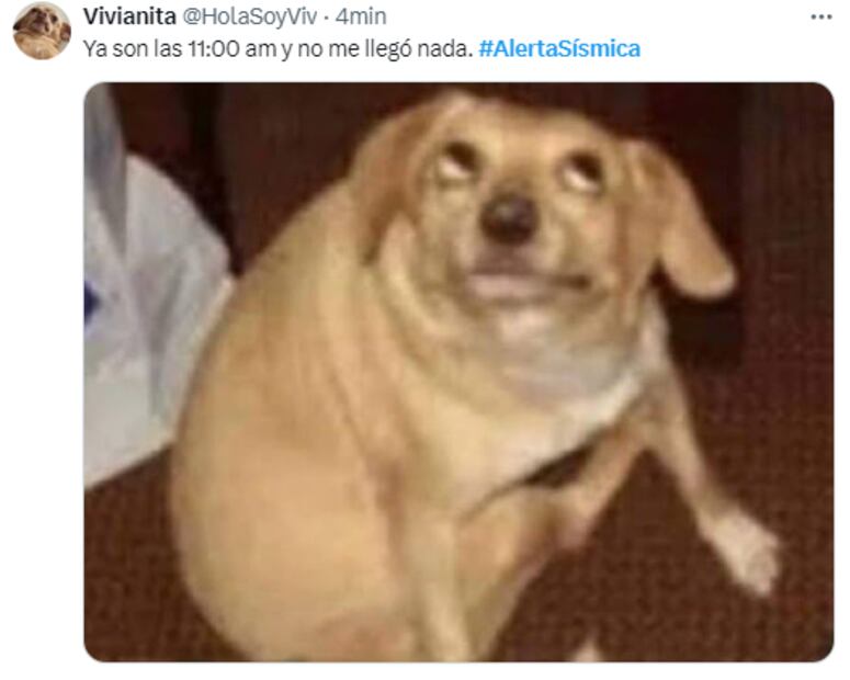 Estos son algunos memes tras la fallida prueba del alertamiento sísmico. FOTO: Captura