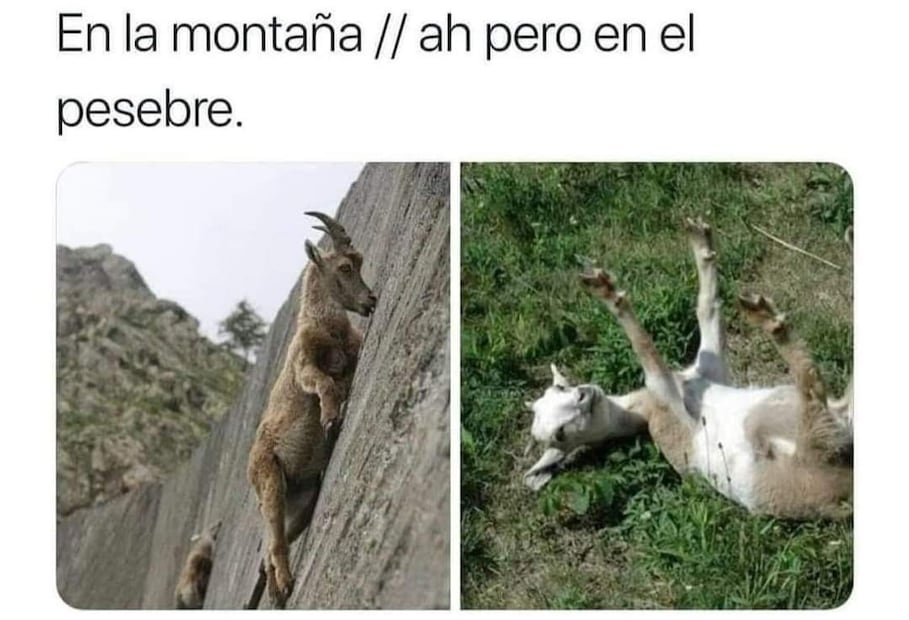Más 10 memes que te harán sentir el verdadero espíritu navideño