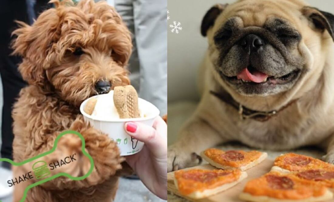 Foto: Instagram @shakeshackmx/3sesentamx