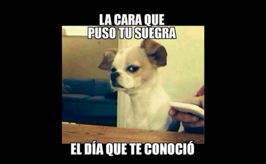 Meme tomado de Internet