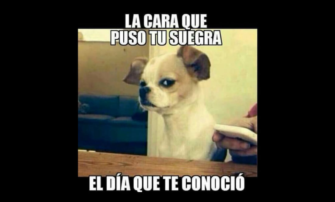 Meme tomado de Internet
