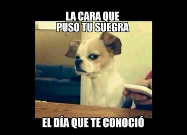 Día de la Suegra: Los 10 mejores memes para dedicarle en su día