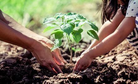 10 acciones de empresas que te volverán un consumidor sustentable