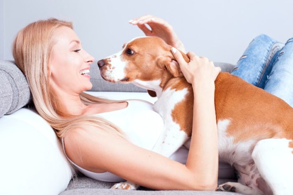 10 cosas que tu perro ama de ti