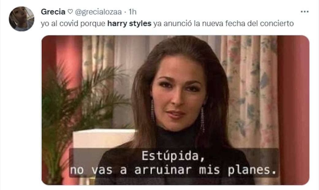 Los 10 mejores memes de la gira de Harry Styles por Latinoamérica en 2022
