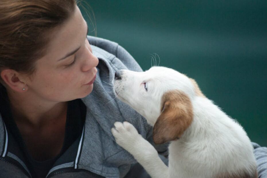 5 hermosas historias en los que un perrito cambió la vida de una persona