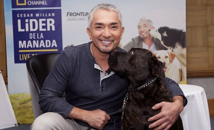 10 consejos infalibles del “encantador de perros” para educar a tu mascota