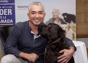 10 consejos infalibles del “encantador de perros” para educar a tu mascota