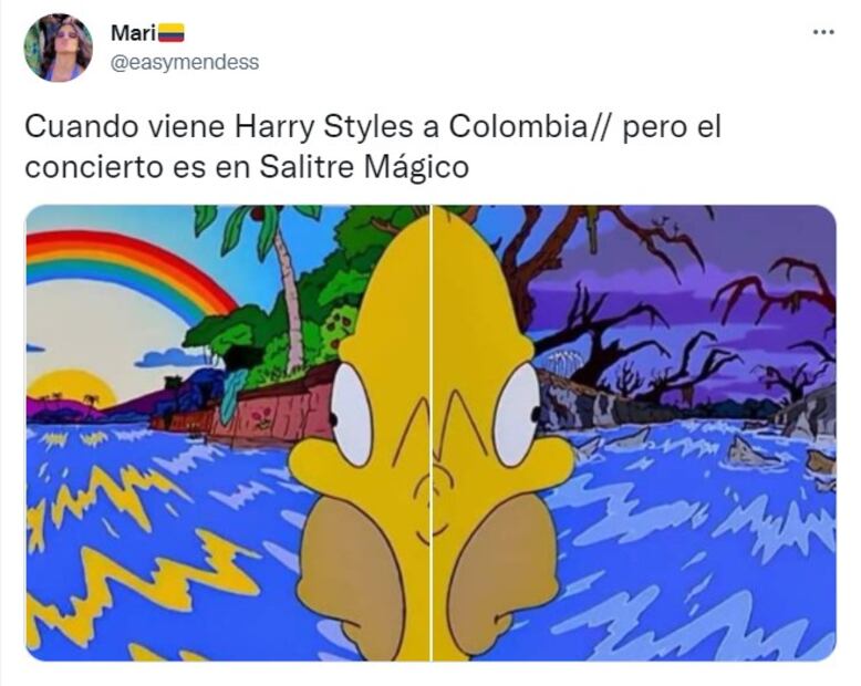 Los 10 mejores memes de la gira de Harry Styles por Latinoamérica en 2022