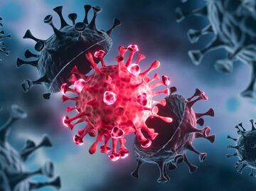 Centaurus, la nueva subvariante de Covid detectada por la OMS