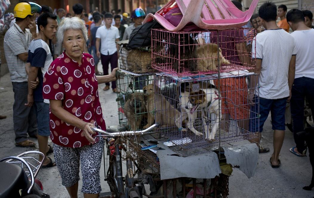 Foto: AP by Andy Wong