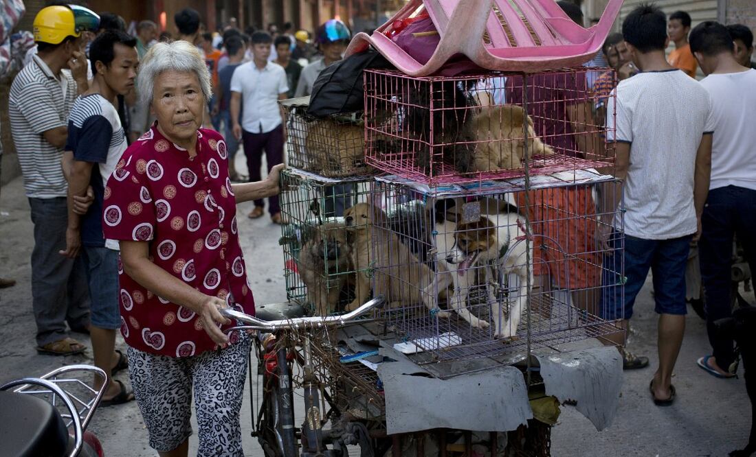 Foto: AP by Andy Wong