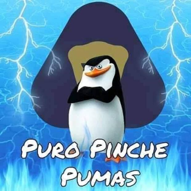 Pumas Memes