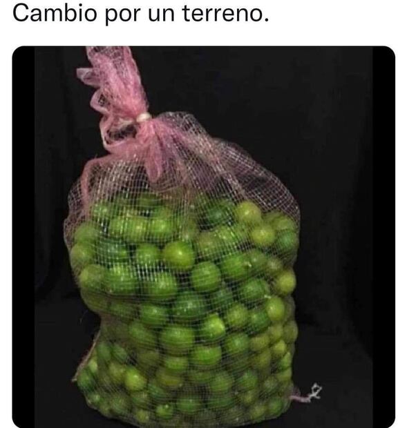 ¡A 70 el kilo de limón! Los 10 mejores memes del aumento de precio 