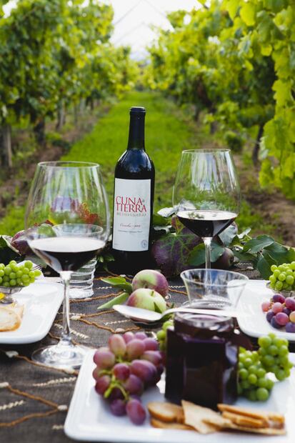 Disfruta las Rutas del Vino y las Fiestas de la Vendimia en Guanajuato
