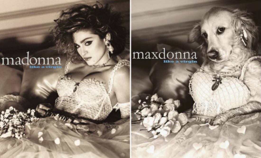 Foto: Instagram @max_et_vincent