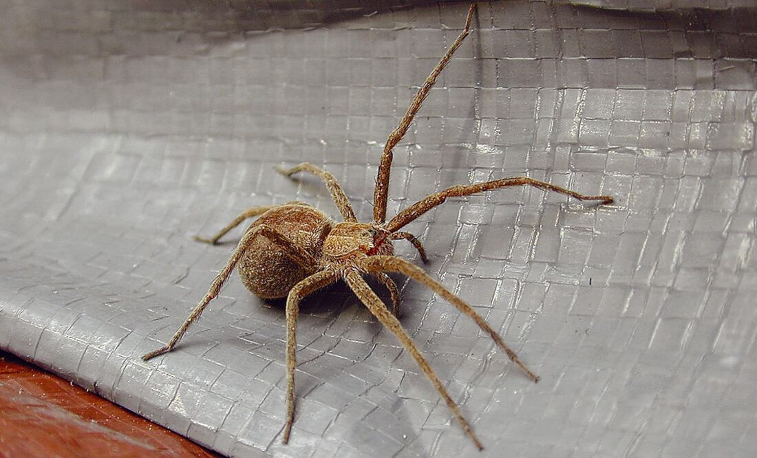 Foto Archivo El Universal